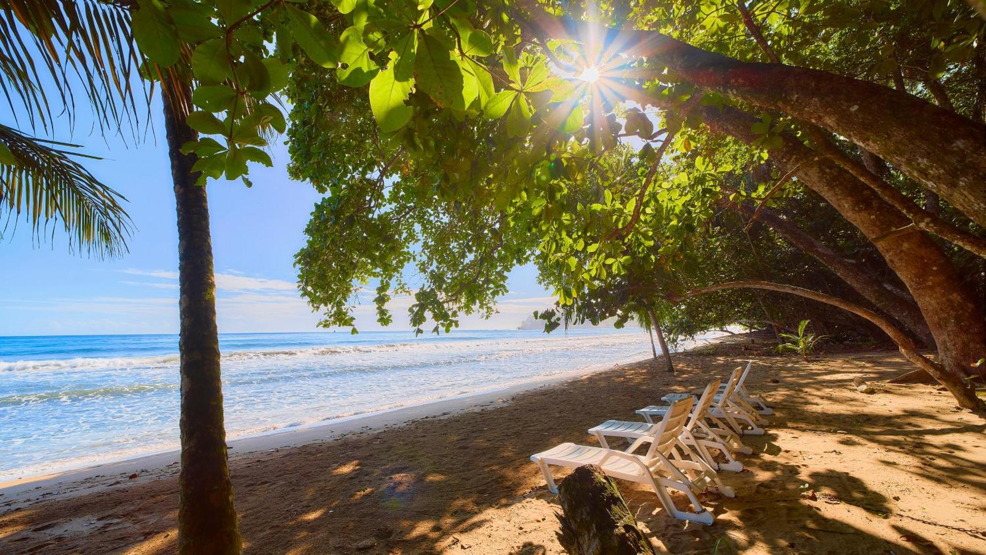 Dragonfly Beachfront Villas-Adult Only Punta Uva Eksteriør bilde