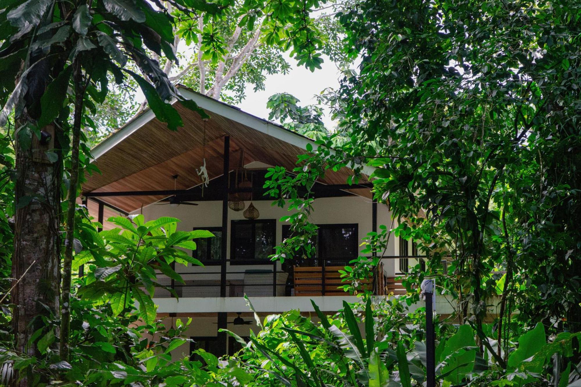 Dragonfly Beachfront Villas-Adult Only Punta Uva Eksteriør bilde